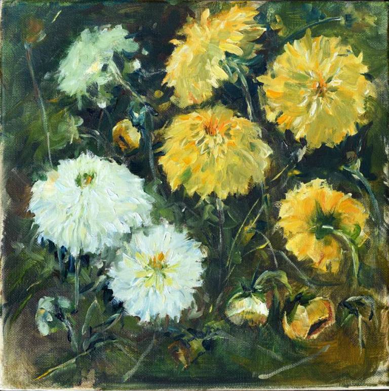 Yellow dahlias 1 - Ronell van Wyk