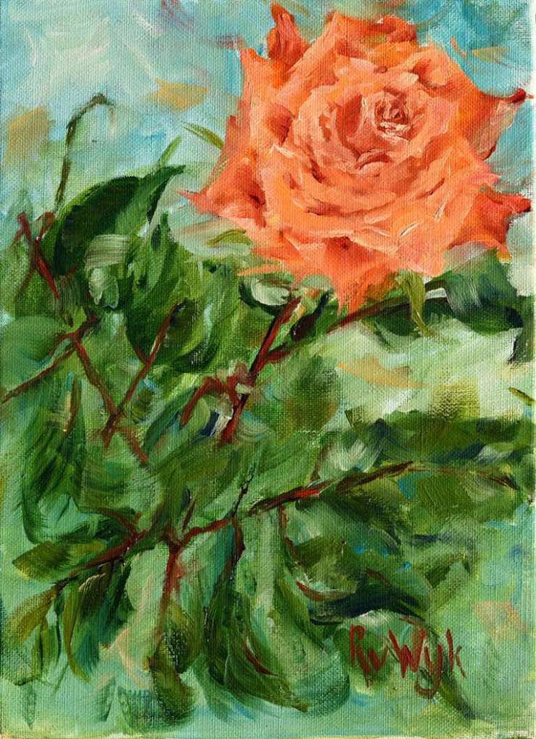 rose 5 - Ronell van Wyk