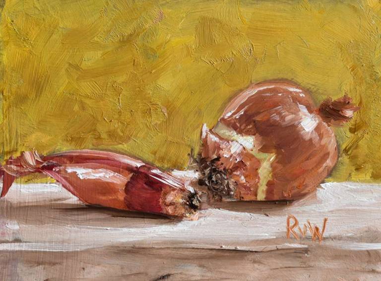 an onion and a shallot - Ronell van Wyk