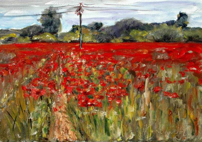 Poppyfield in Vernou - Ronell van Wyk
