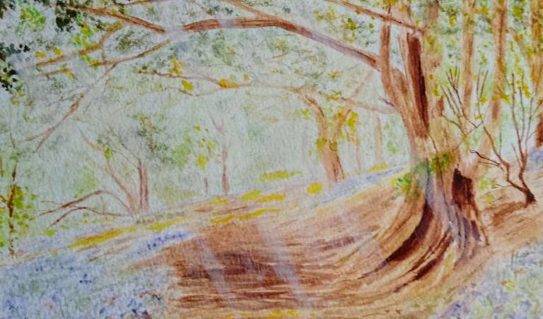 Bluebell Wood - Linda Mauldon
