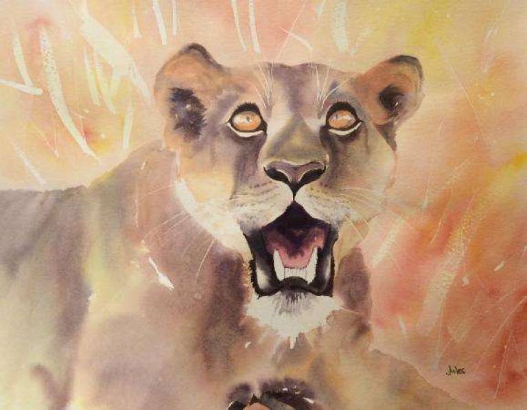 Lioness - Jules Hoare