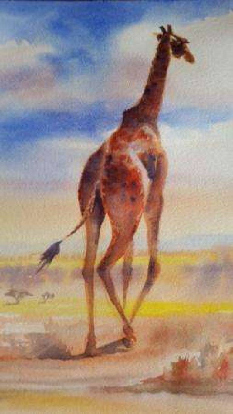 Giraffe in the Serengetil - Jules Hoare