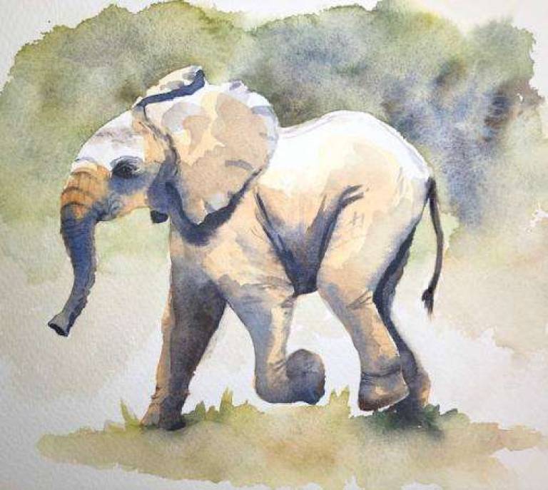Young Elephant - Jules Hoare