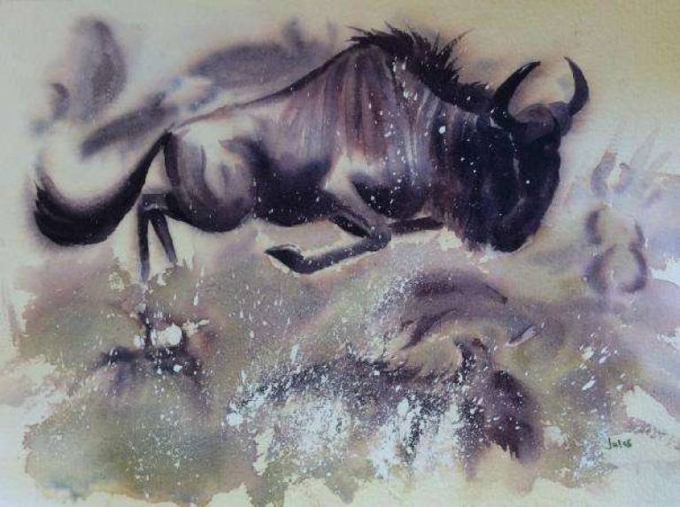 Leaping wildebeest - Jules Hoare