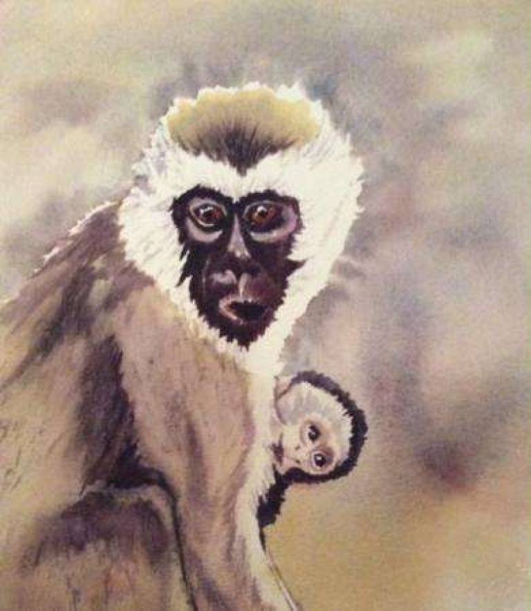 Monkey and baby - Jules Hoare