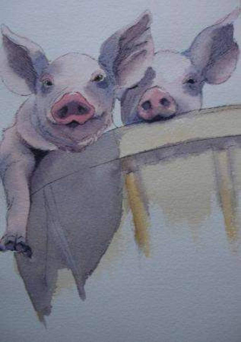 Piggies - Jules Hoare
