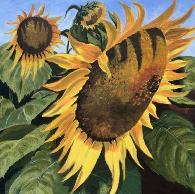 French Sunflowers - Jules Hoare