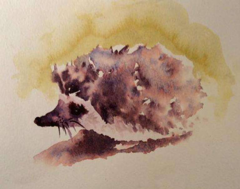 Hedgie 1. - Jules Hoare