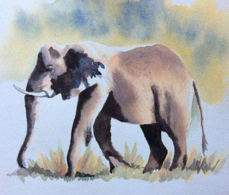 Ivory belongs to elephants - Jules Hoare