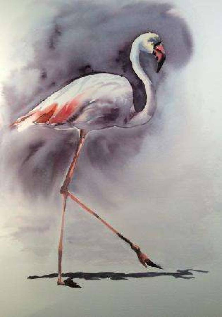 Flamingo - Jules Hoare