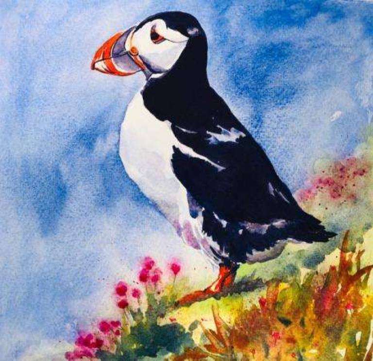Hebridean Puffin - Jules Hoare