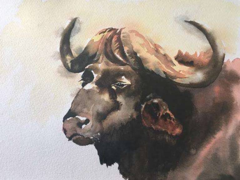 Buffalo head - Jules Hoare