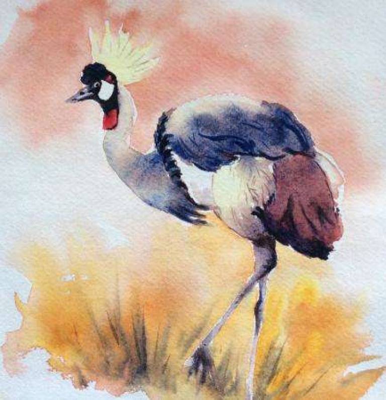Gold-crested crane - Jules Hoare