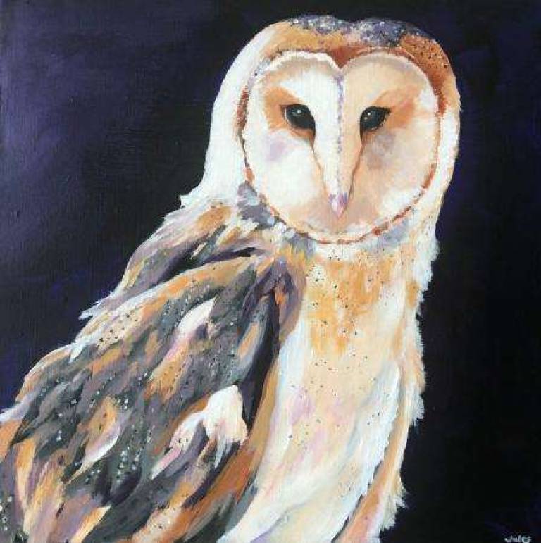 Barn Owl - Jules Hoare