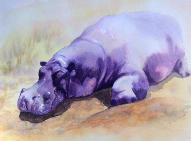 Beached hippo - Jules Hoare
