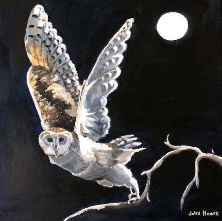 Owl by Moonlight - Jules Hoare