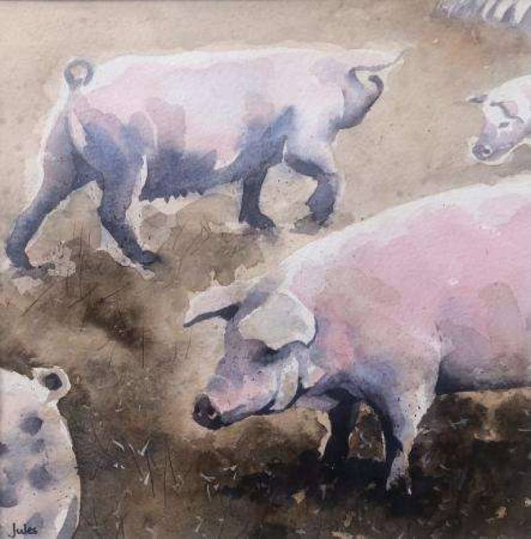 Pigs - Jules Hoare