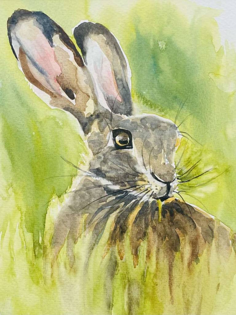 Hare - Jules Hoare