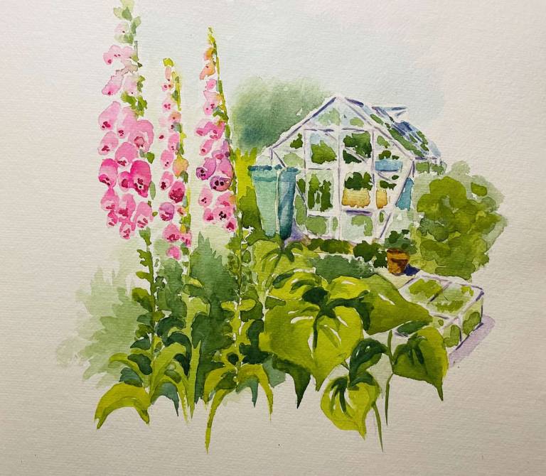 Allotments - Jules Hoare