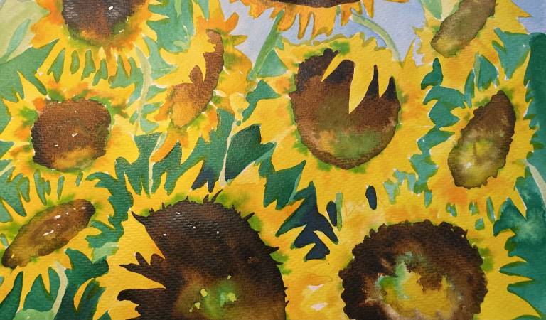 Vibrant sunflowers - Jules Hoare