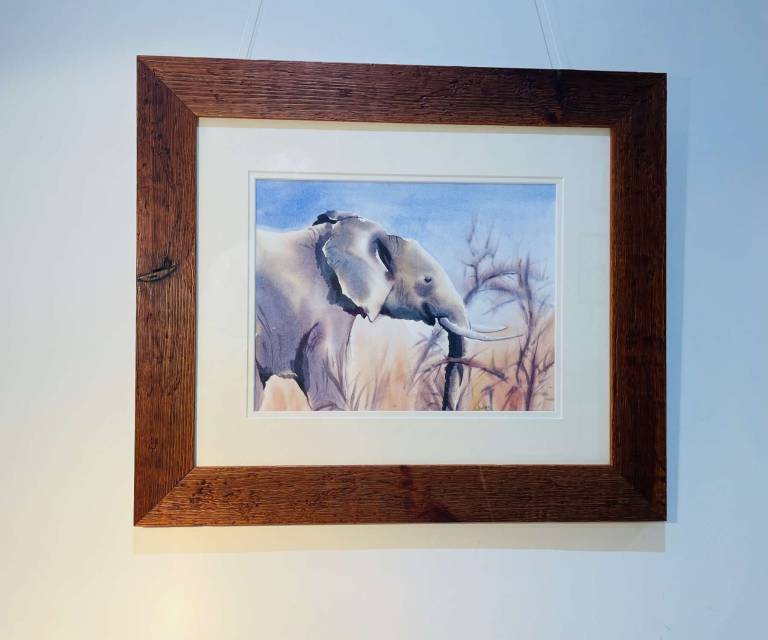 African elephant - Jules Hoare