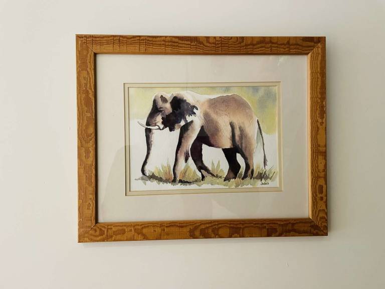 Ivory belongs to elephants - Jules Hoare