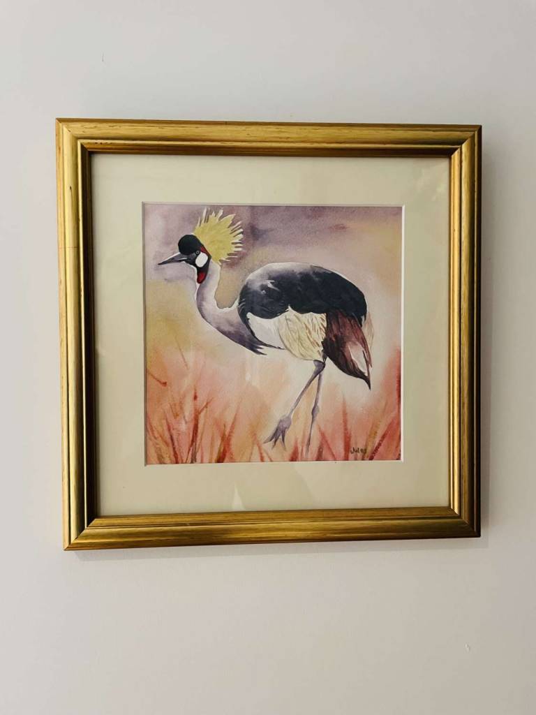 Gold-crested crane - Jules Hoare