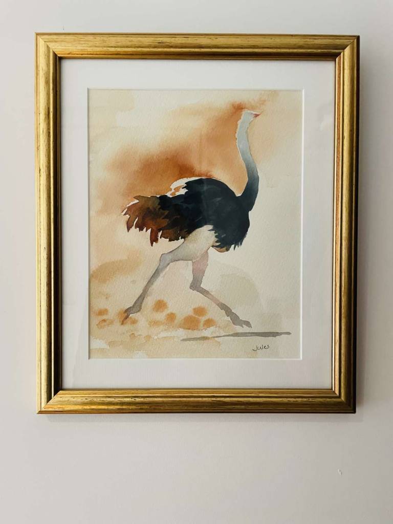 Ostrich running - Jules Hoare