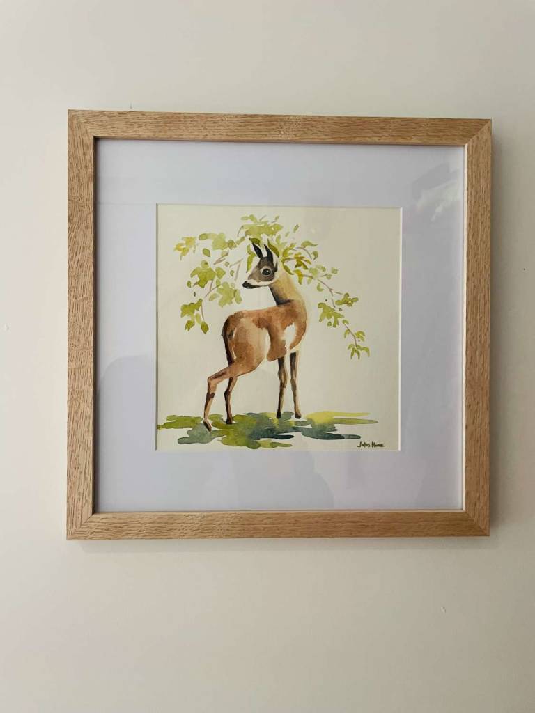Deer in our garden - Jules Hoare