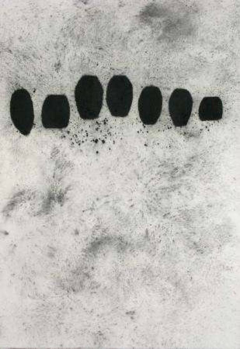 New Delight walks 3 - Belinda Bailey