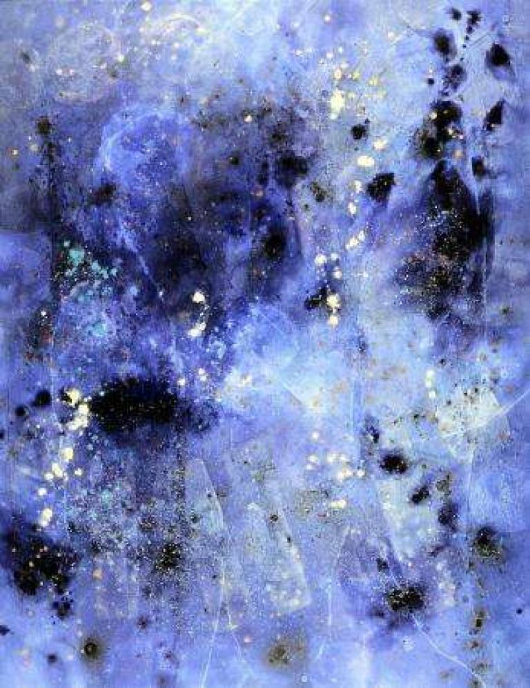 Edge of the Forest. No. 5 - Belinda Bailey