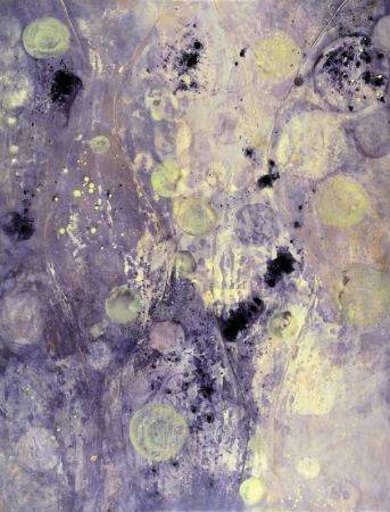 Trail - Belinda Bailey