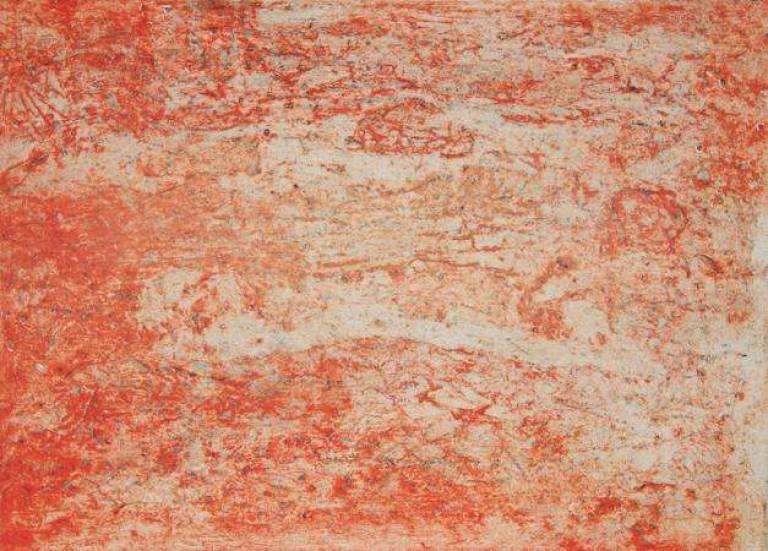 Snow Marsh - Belinda Bailey