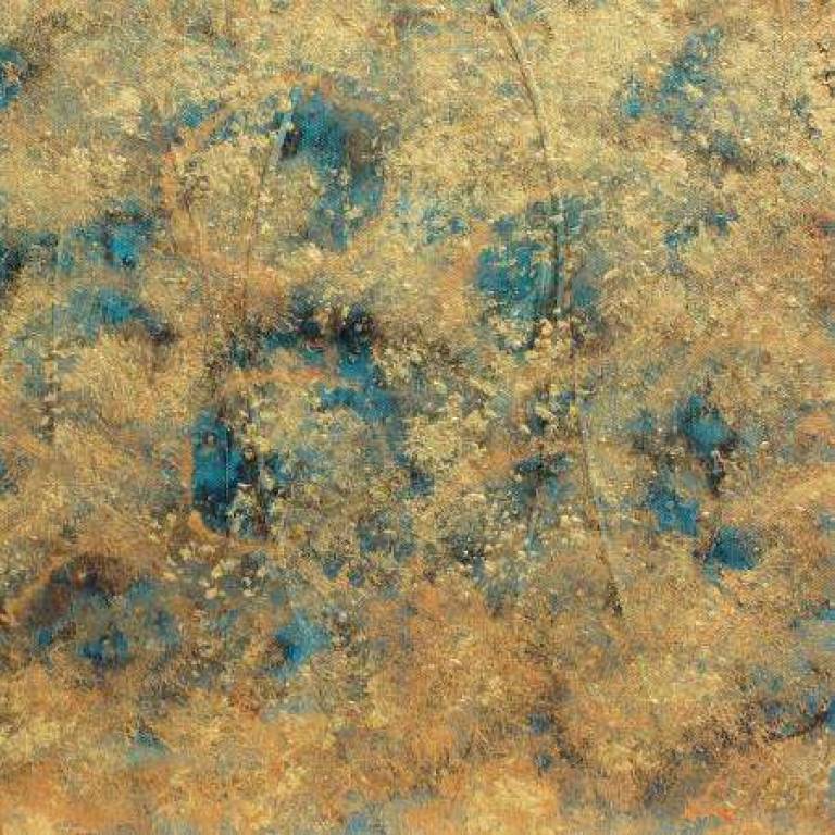 Forest Trail 2 - Belinda Bailey