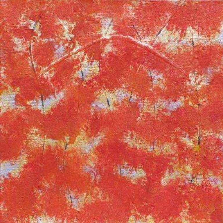 Forest Trail 3 - Belinda Bailey