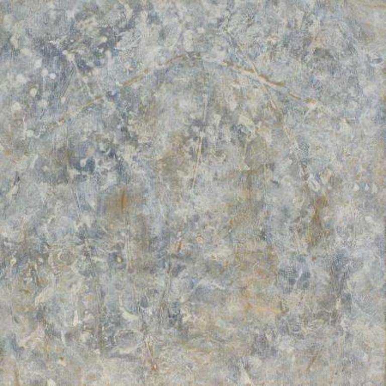 Forest Trail 6 - Belinda Bailey