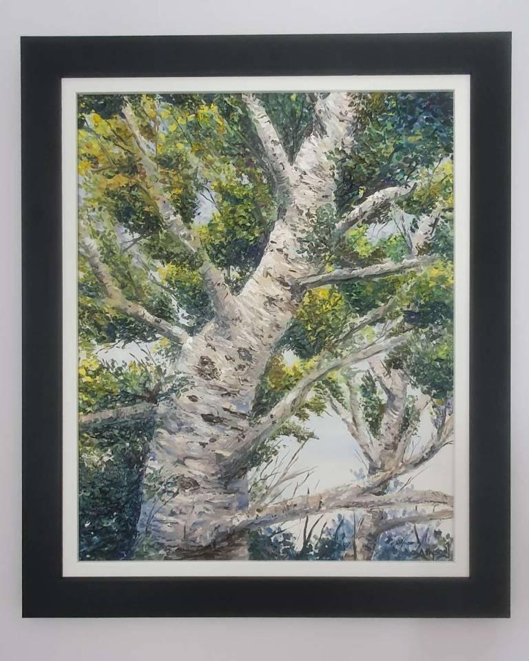 Birch Bark - Allyson Johnston