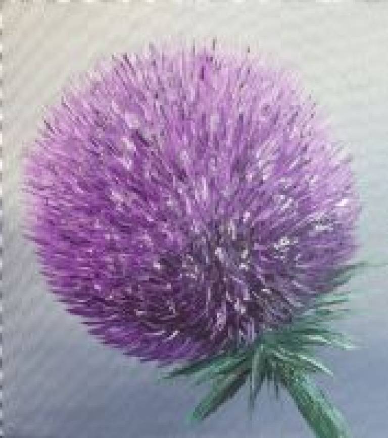 Purple & Silver Thistle - Allyson Johnston