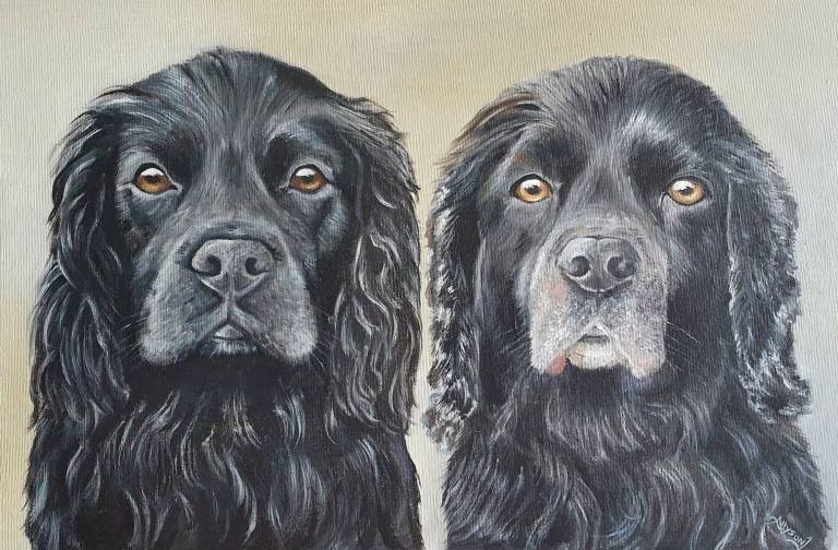 Harris & Alfie - Allyson Johnston