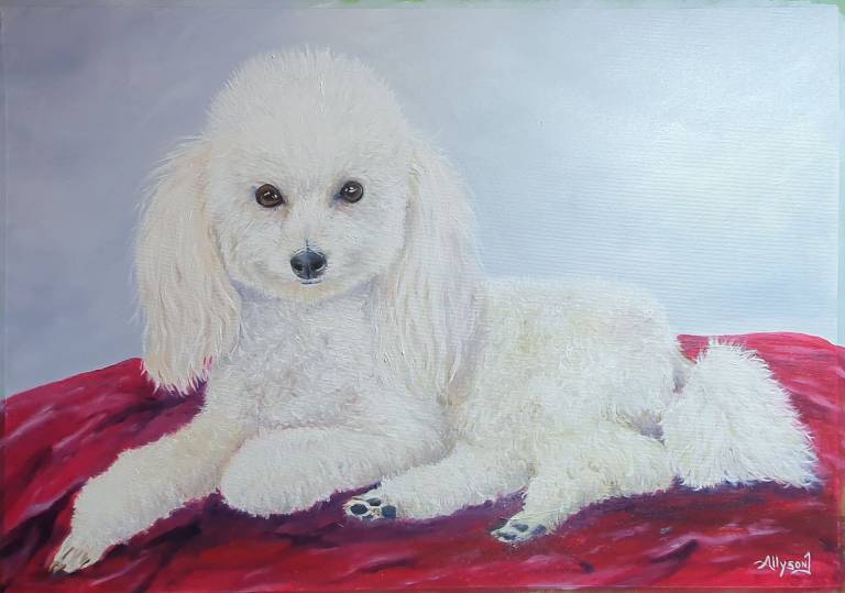 Wee Bonnie - Allyson Johnston