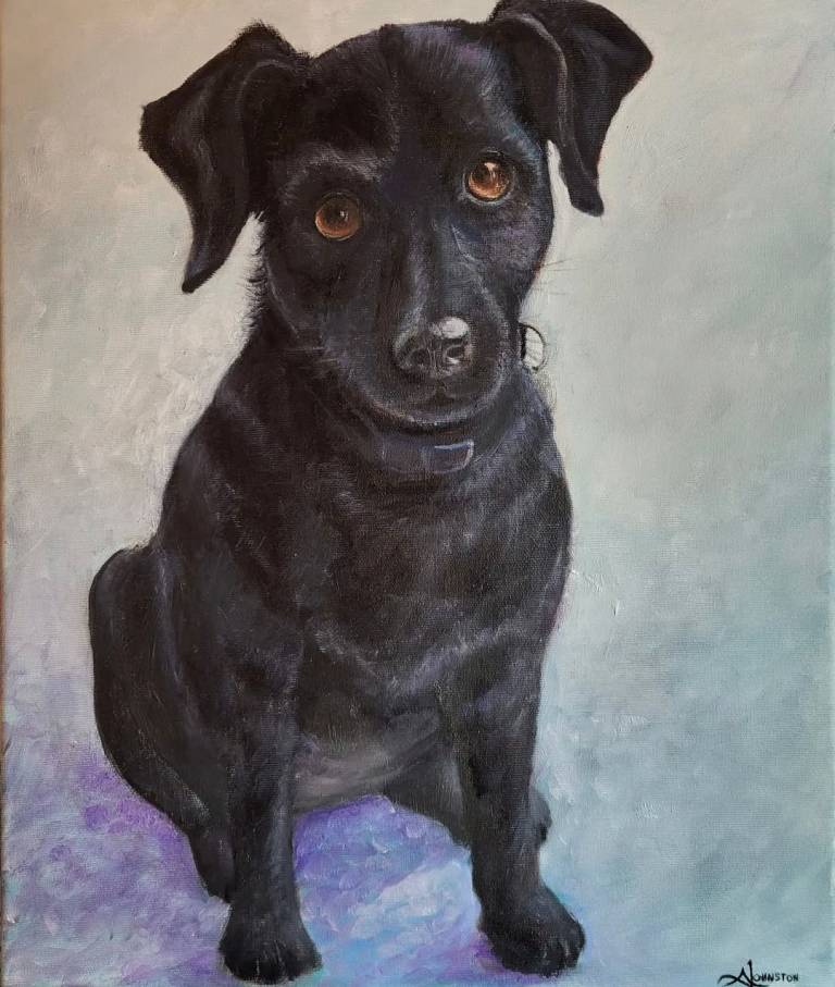 Cooper - Allyson Johnston