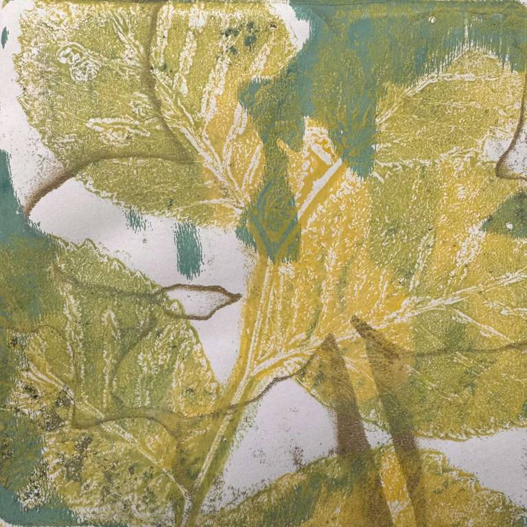 Botanical mono-printing - Roberta Hopkins
