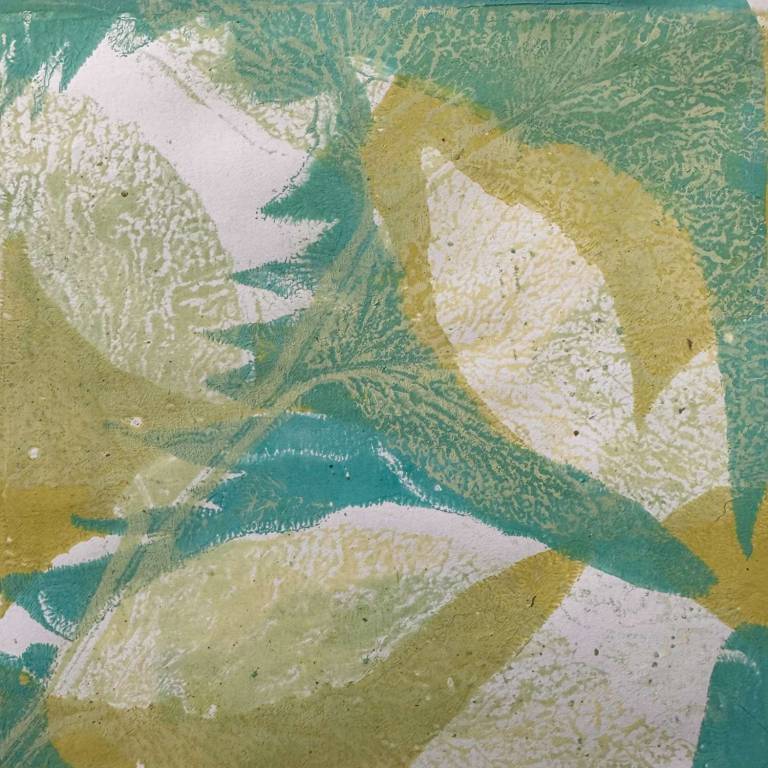 Botanical mono-printing - Roberta Hopkins