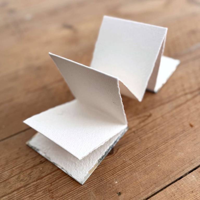 Concertina Sketchbooks - Roberta Hopkins