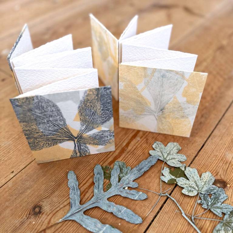 Concertina Sketchbooks - Roberta Hopkins