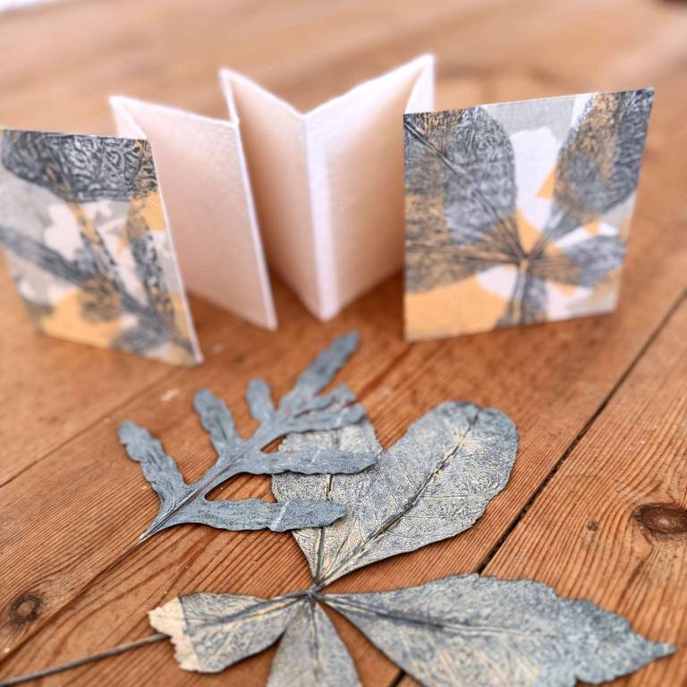 Concertina Sketchbooks - Roberta Hopkins