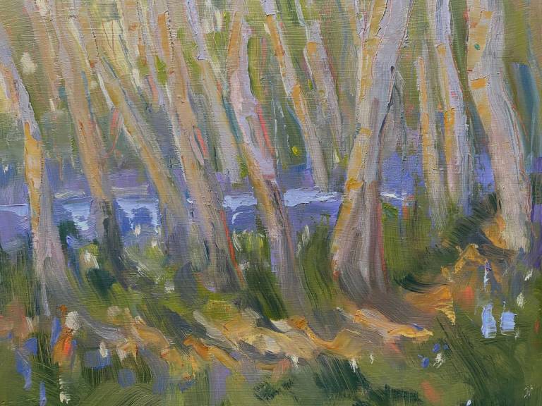 Spring - Lyn O'Neill