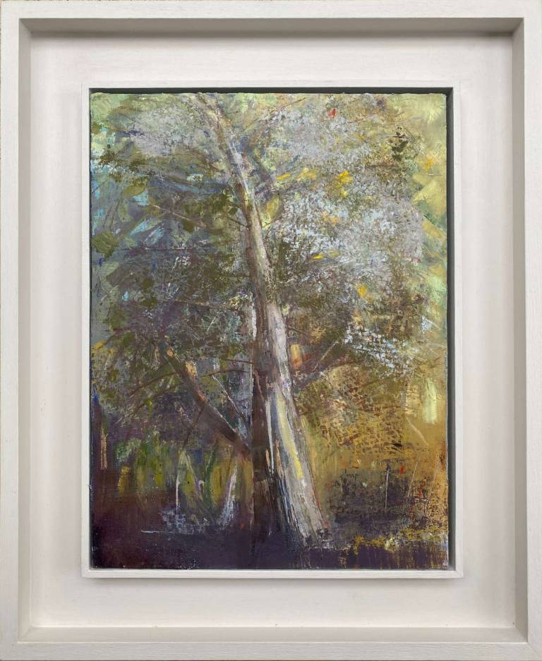 Light on poplar: framed - Lyn O'Neill