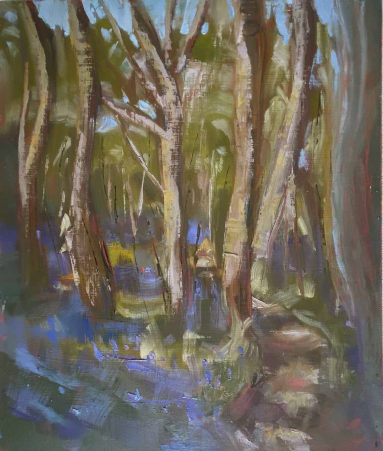 Bluebell path - Lyn O'Neill